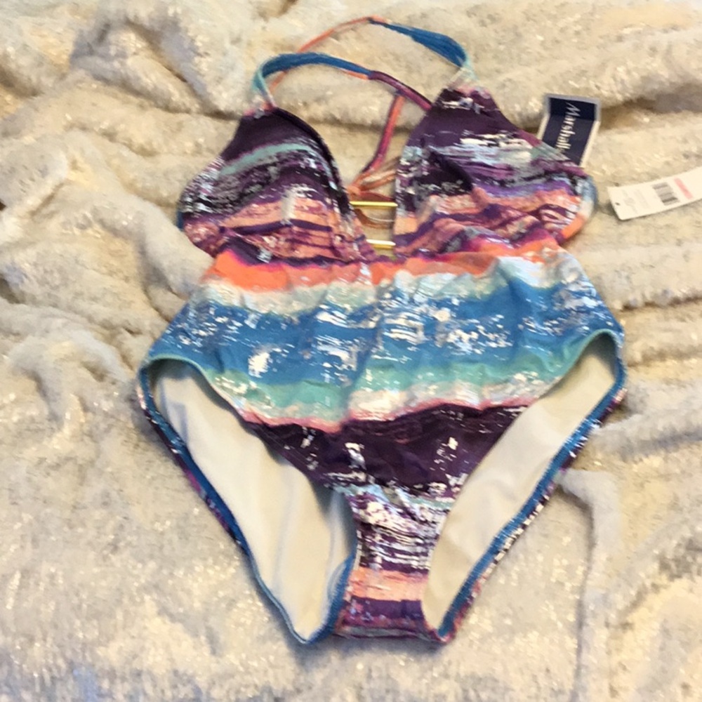 Carmen Marc Valvo Purple and Blue One-Piece Swimsuit